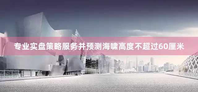 专业实盘策略服务并预测海啸高度不超过60厘米