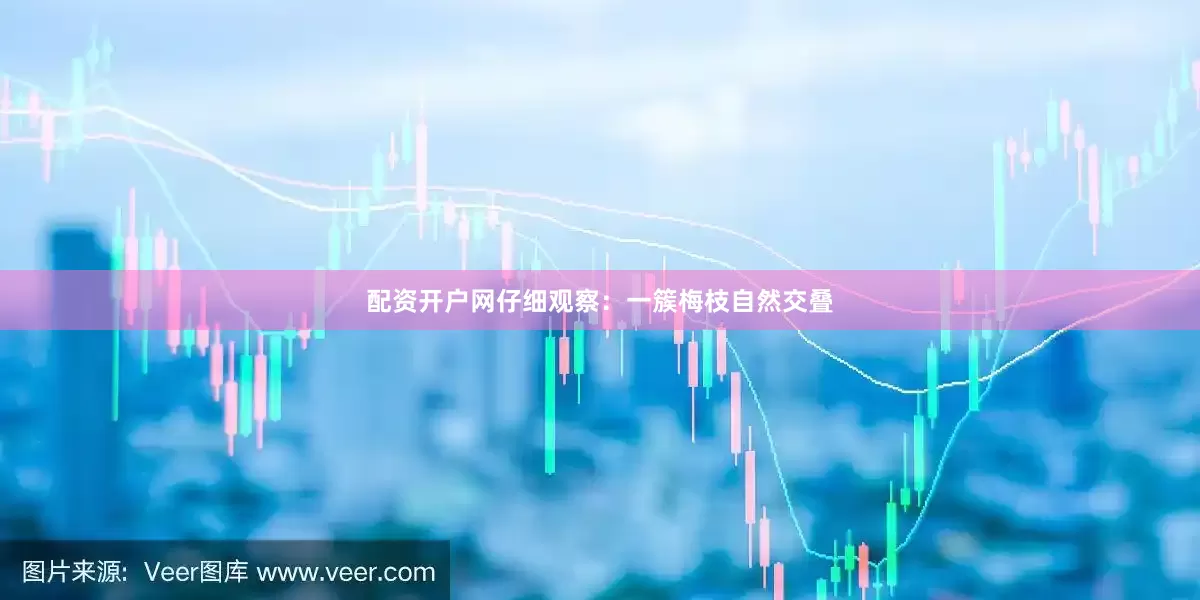 配资开户网仔细观察：一簇梅枝自然交叠