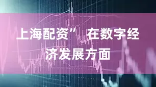 上海配资”  在数字经济发展方面